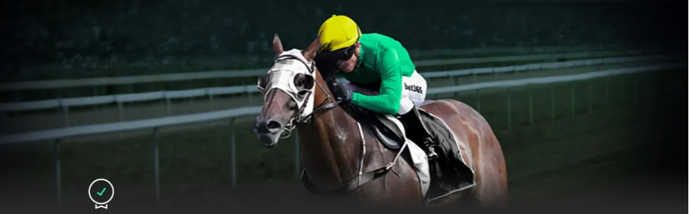 切赫回归英,超指日可待,切尔西总监,即时比分,比分直播,足球比分直播,球探体育